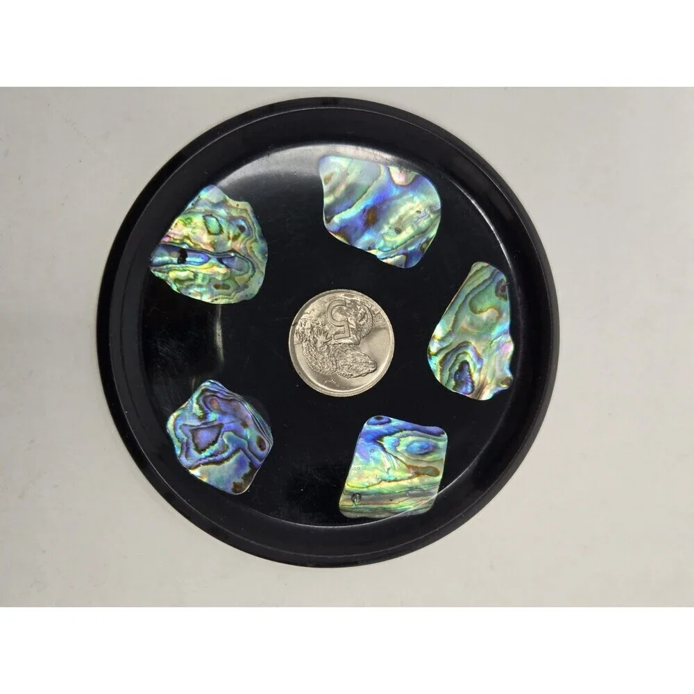 VINTAGE DRINK COASTER SET OF 6 NEW ZEALAND PAUA SHELL & COINS MONEY COLLECTIBLE
